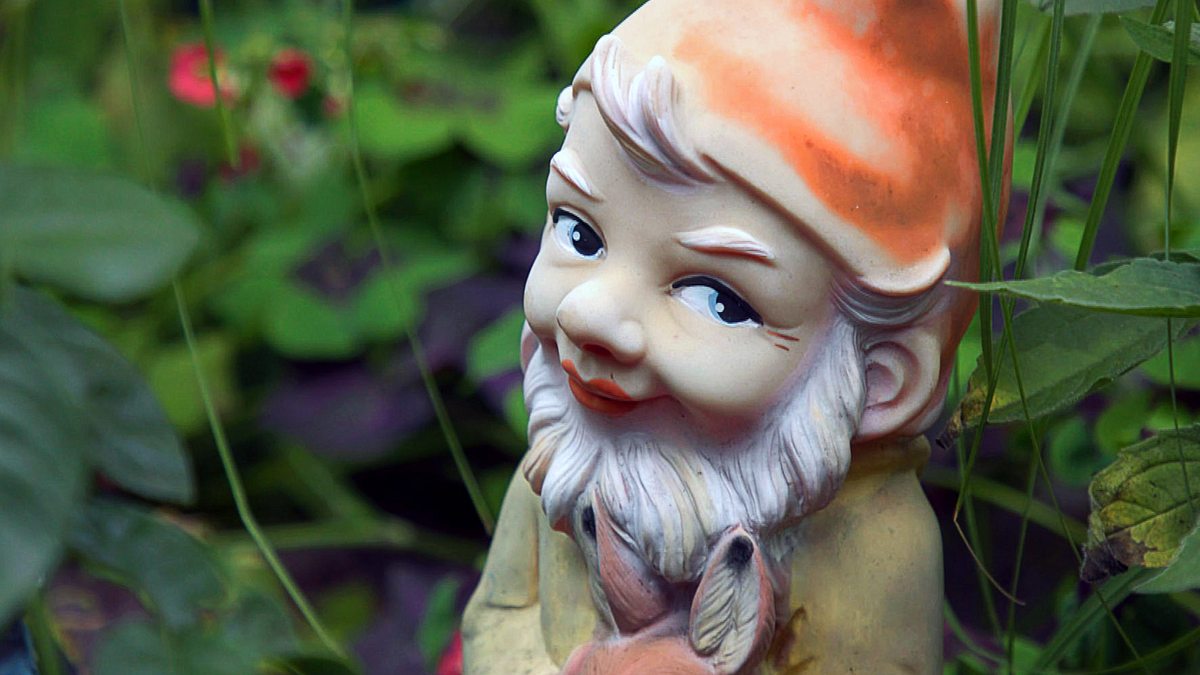 der schrebergarten - ein blick über den zaun