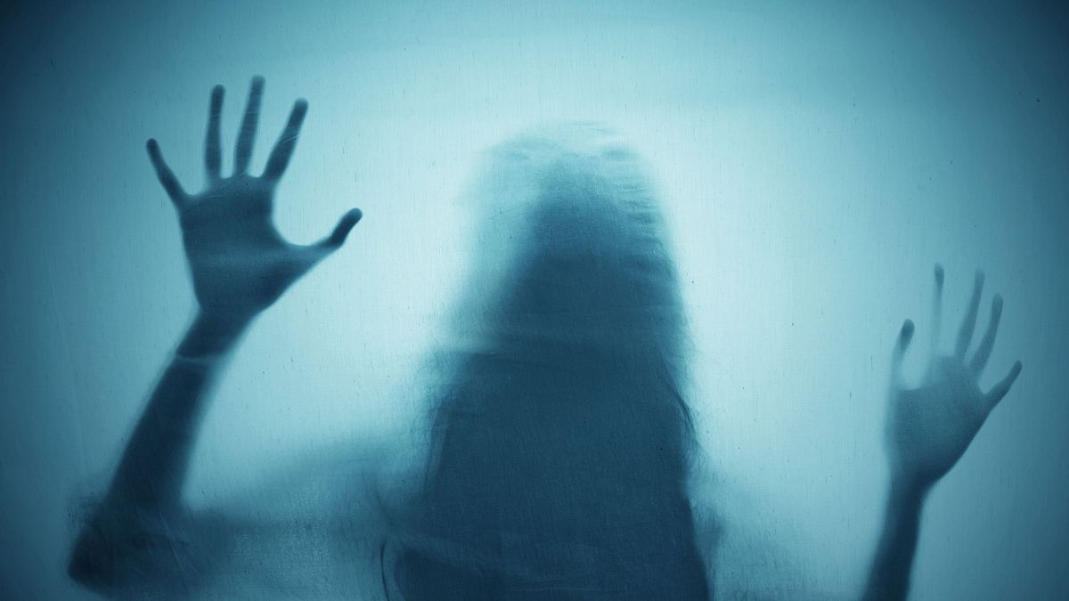 holzer files - chroniken eines geisterjägers
