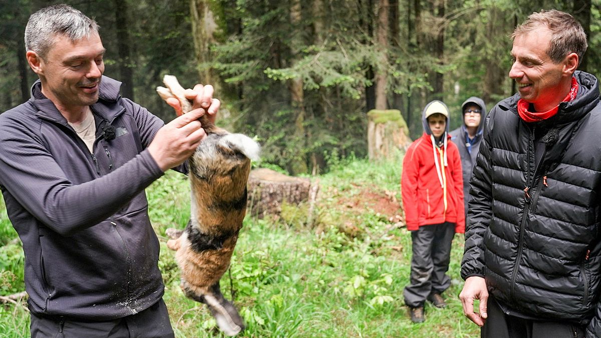 abenteuer wildnis
