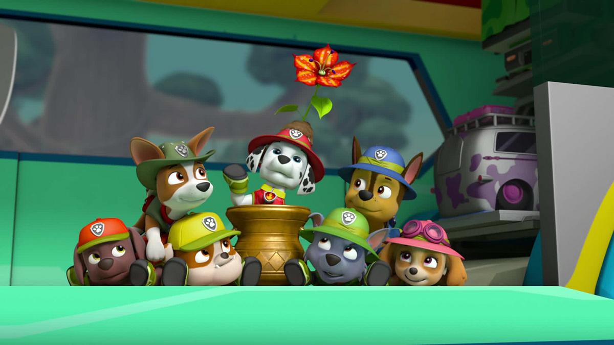 paw patrol - helfer auf vier pfoten