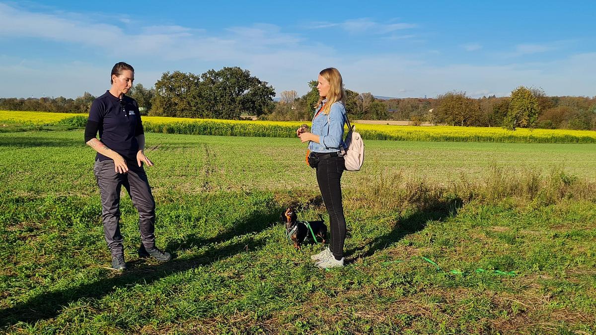 der hundeprofi - rütters team