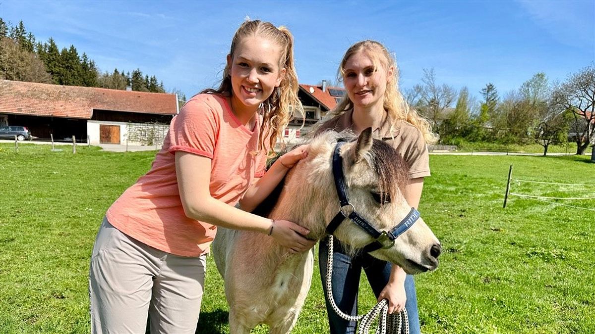 nina und die haustiere