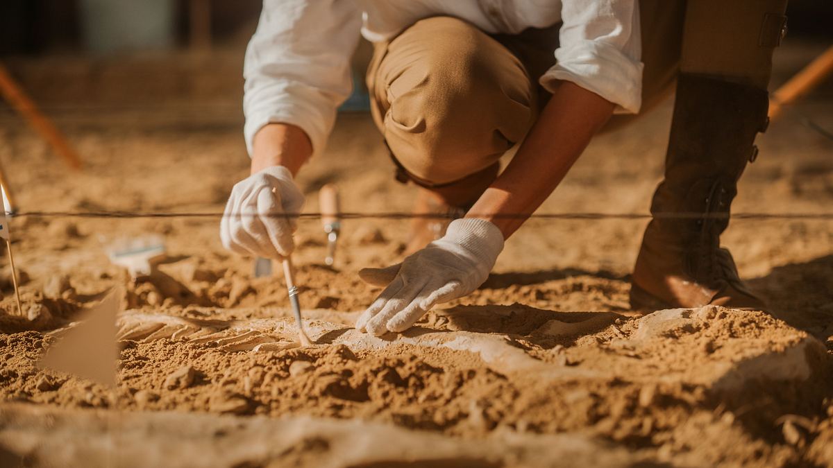 rätselhafte mumien: der wahrheit auf der spur