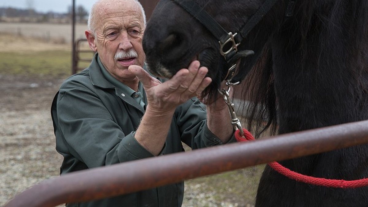 der unglaubliche dr. pol