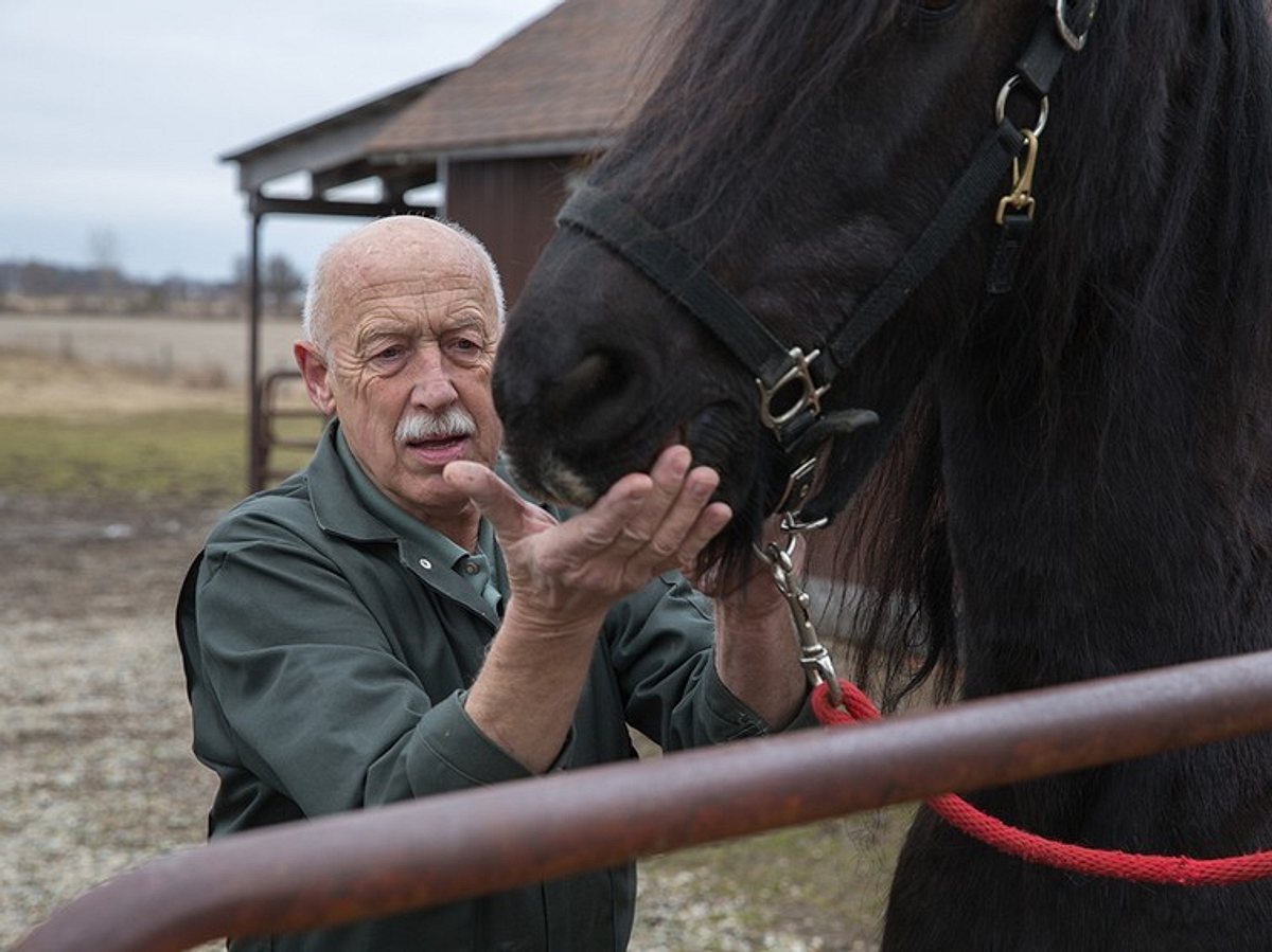 Der unglaubliche Dr. Pol der unglaubliche dr. pol