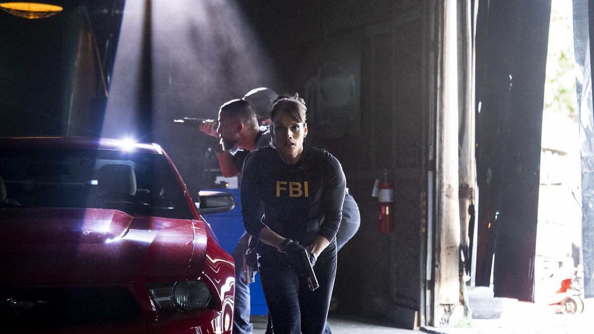 fbi: special crime unit