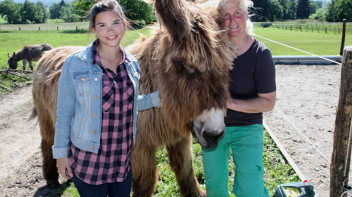 anna und die haustiere