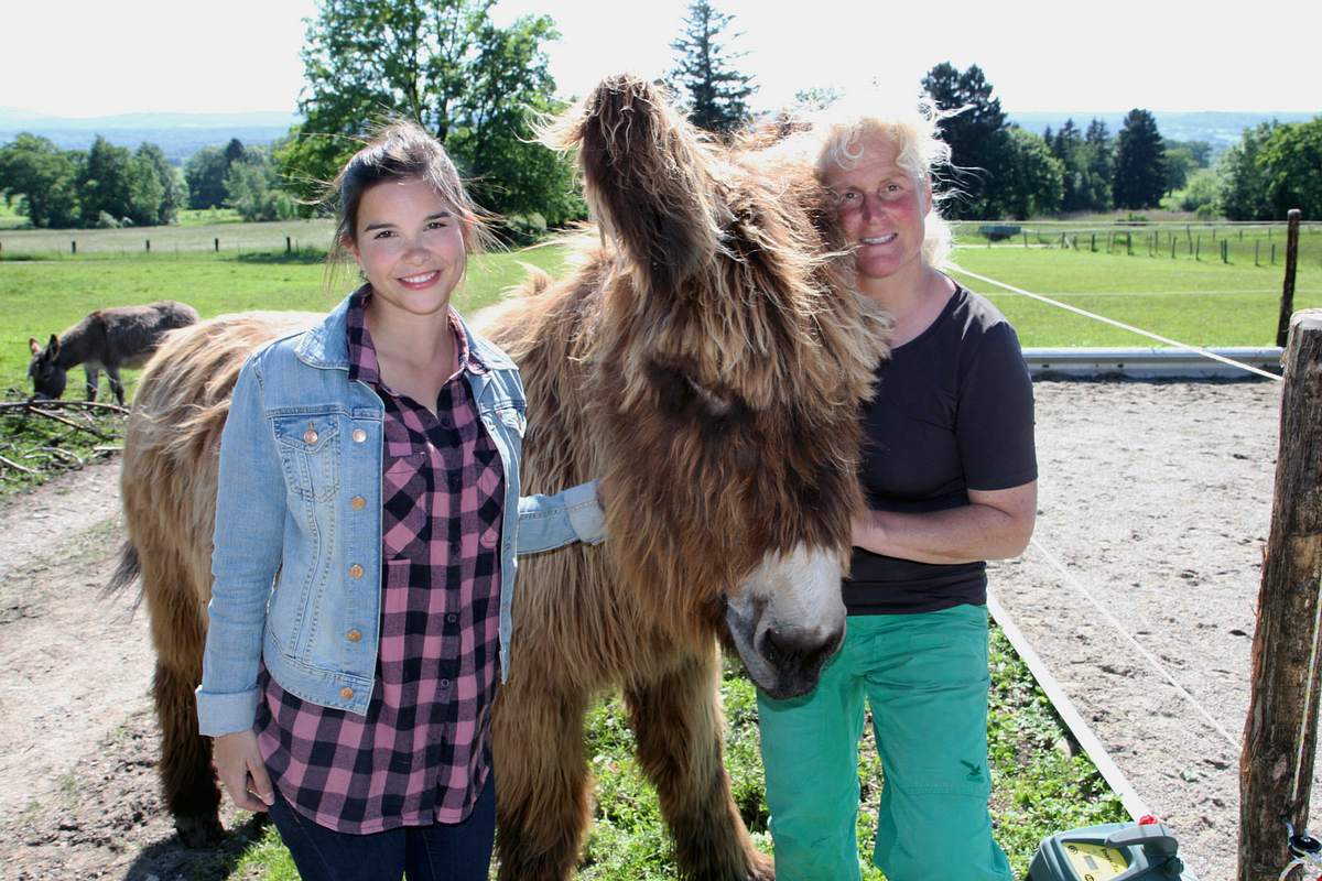 anna und die haustiere