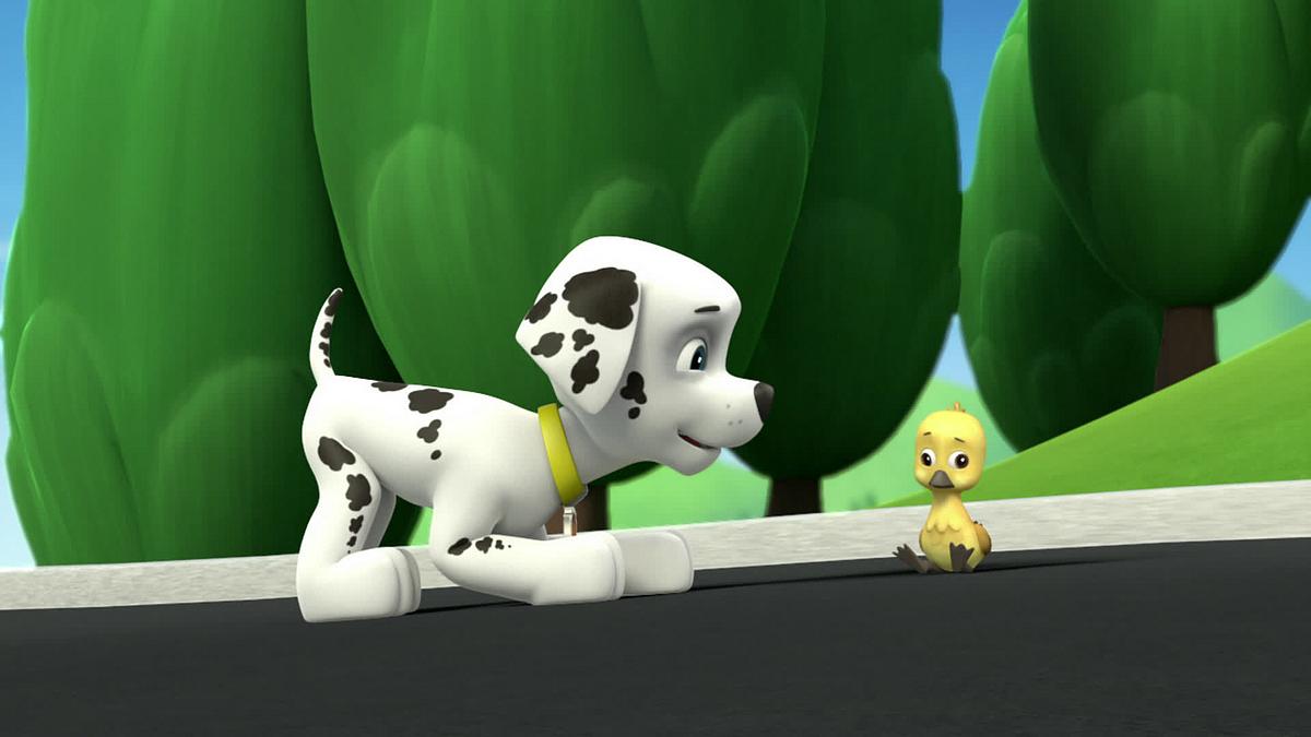 paw patrol - helfer auf vier pfoten