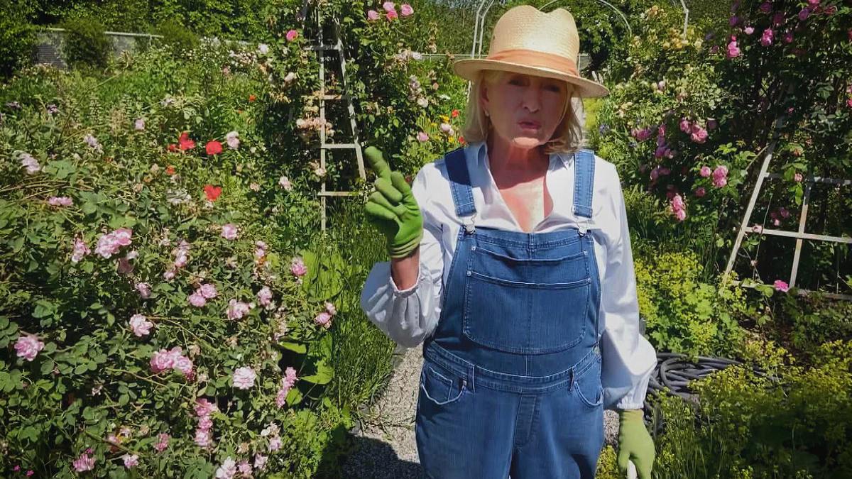 zu gast bei martha stewart