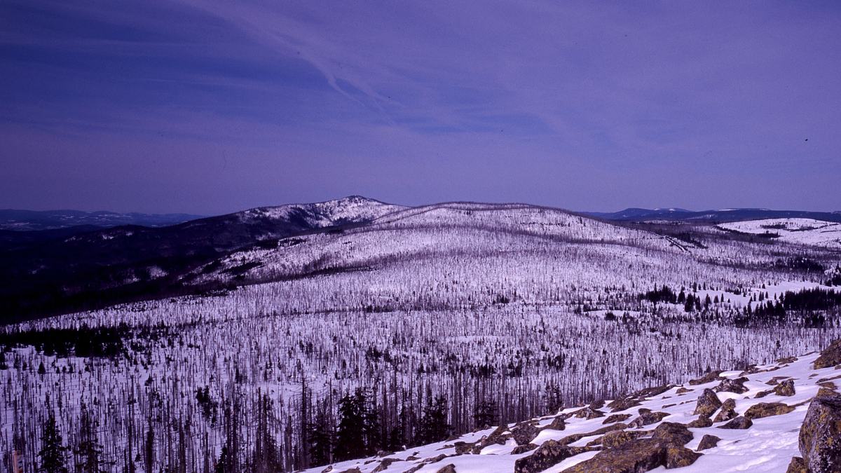 abenteuer wildnis