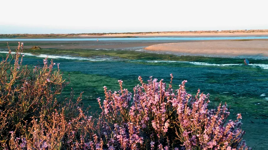 Eine Reise in den Südosten Portugals: Von Burgen, Bauern und dem Meer eine reise in den südosten portugals: von burgen, bauern und dem meer