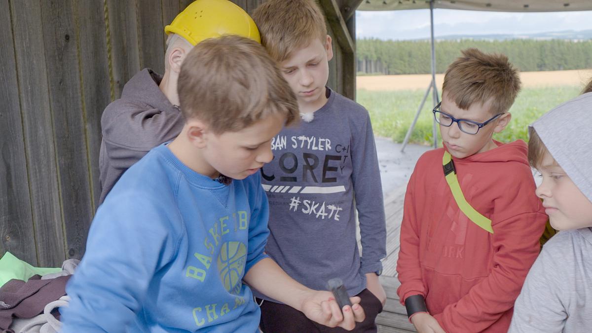 sommercamp - back to the roots