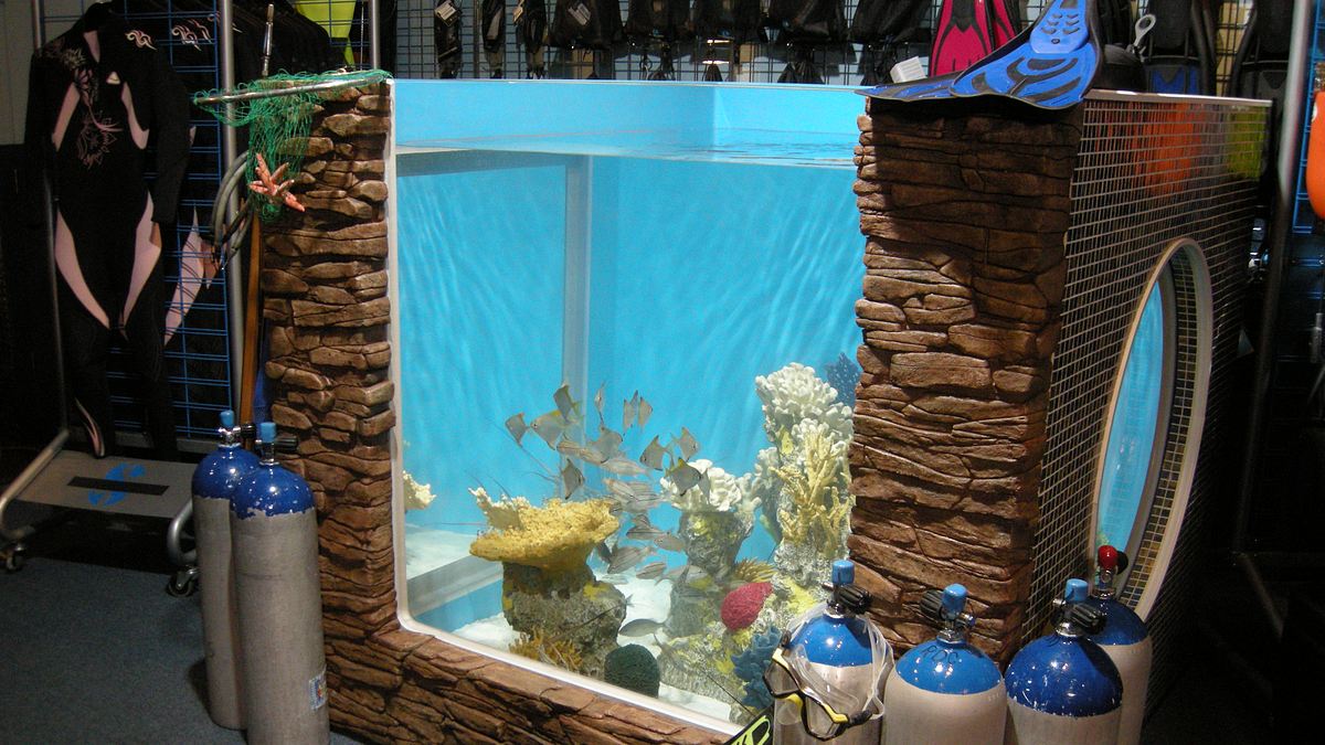 fish tank kings - gigantische wasserwelten