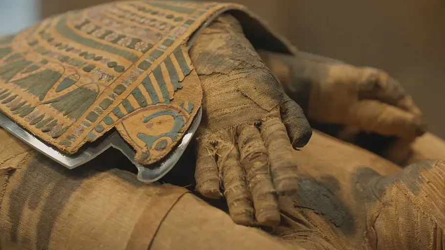 Ägyptens Mumien ägyptens mumien