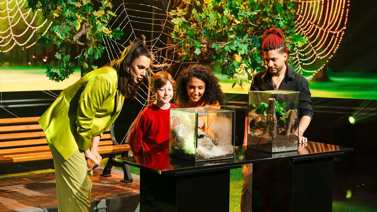 die große maus-show - kinder fragen, erwachsene staunen
