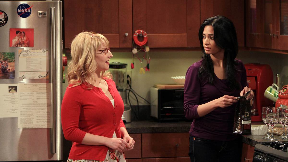 the big bang theory