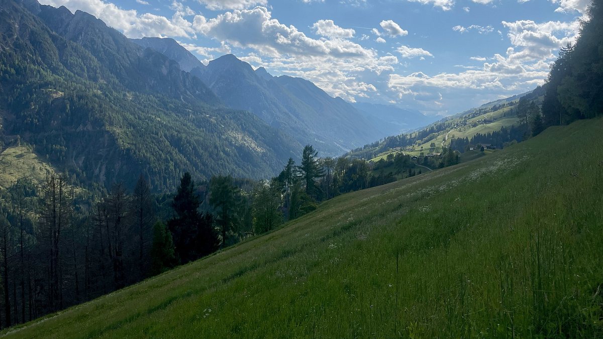 zurück zur natur