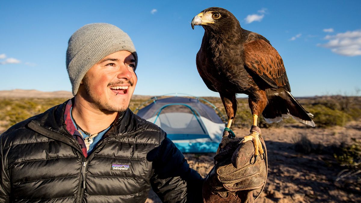 roadtrip durch amerikas wildnis