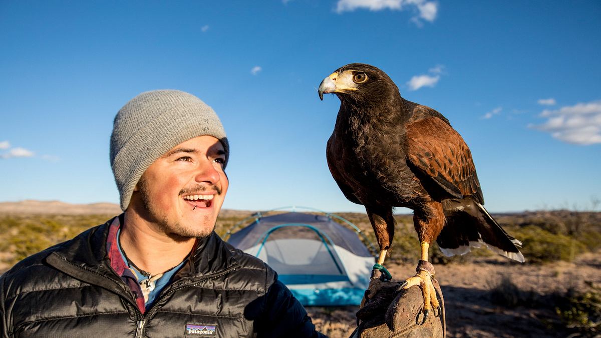 roadtrip durch amerikas wildnis