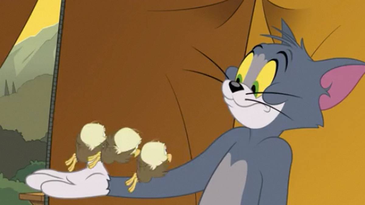 die tom und jerry show