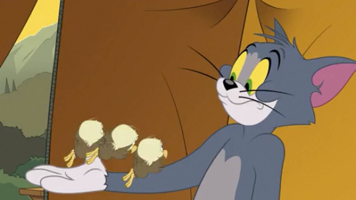 Die Tom und Jerry Show die tom und jerry show