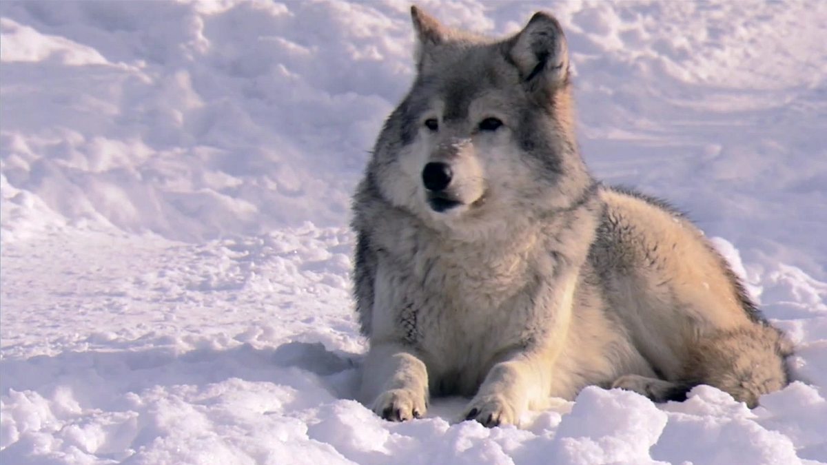 alaska extrem