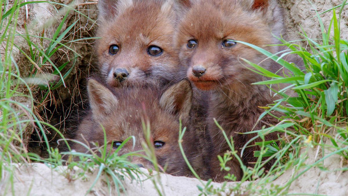 abenteuer wildnis
