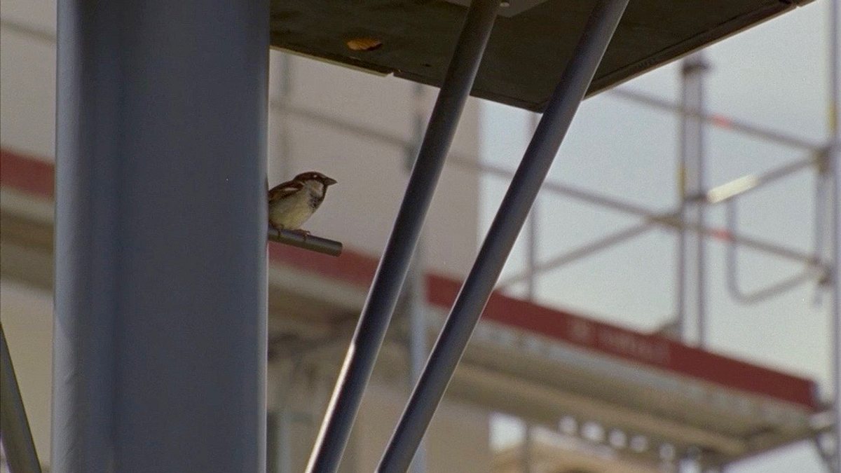 abenteuer wildnis