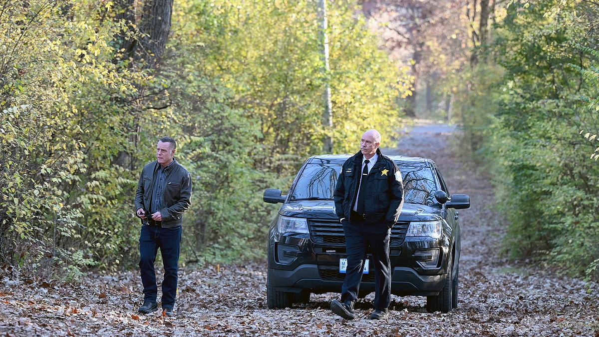 chicago p.d.