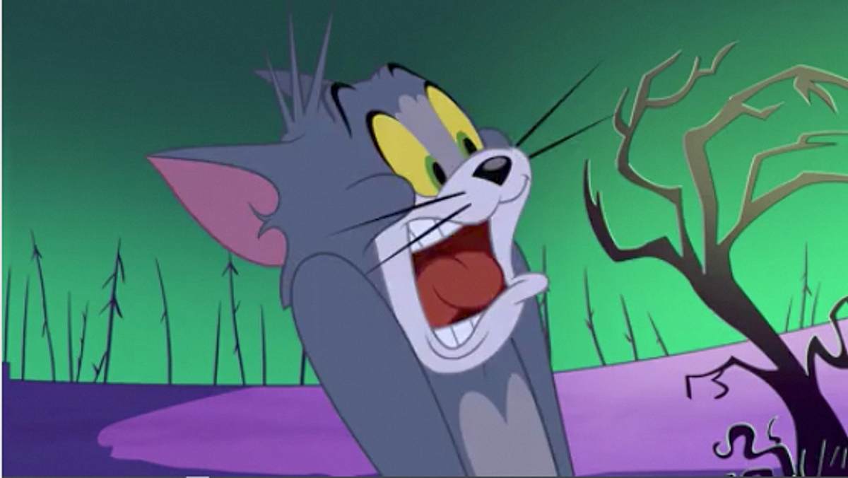Die Tom und Jerry Show die tom und jerry show