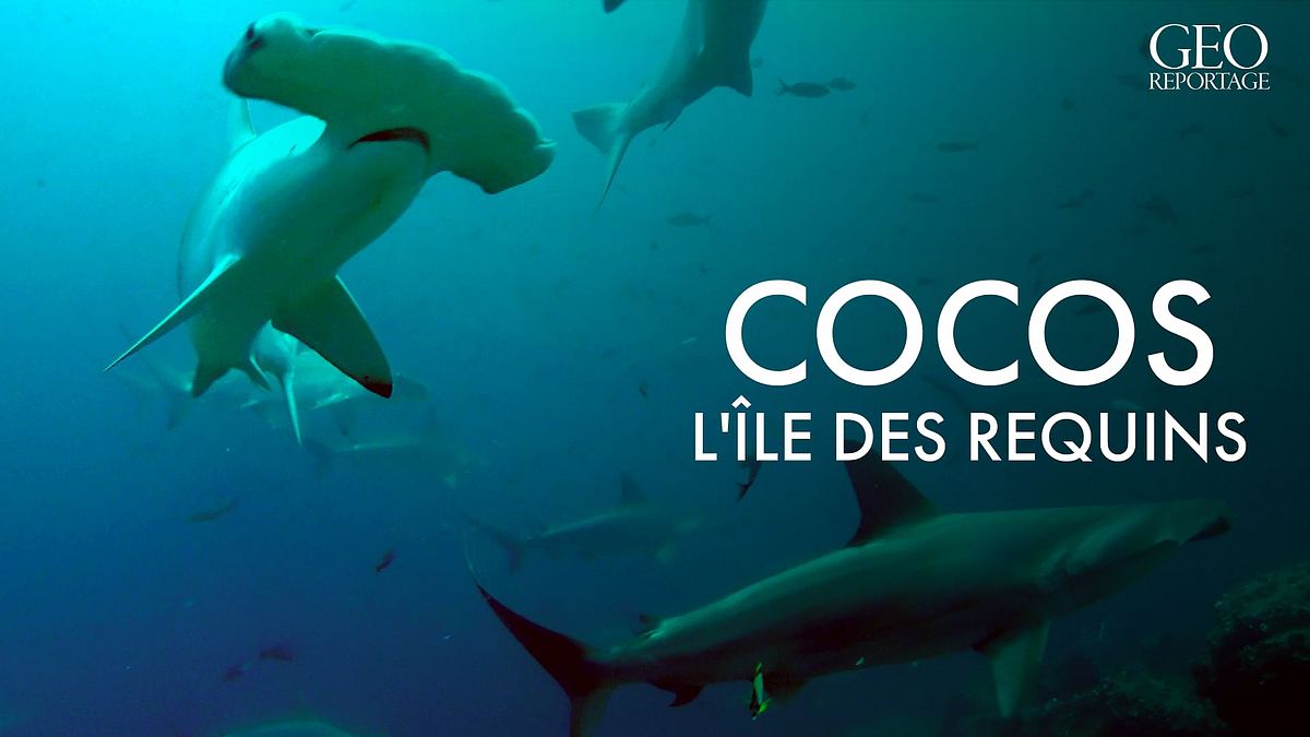 geo reportage