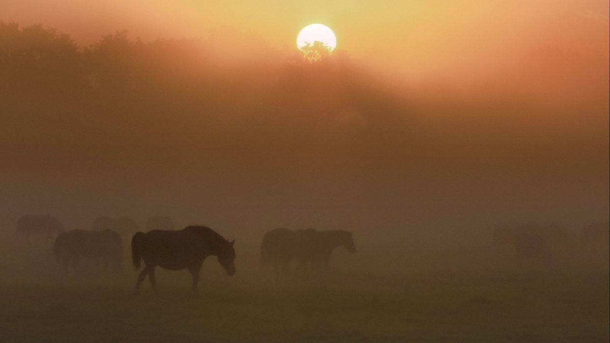 magische momente der natur