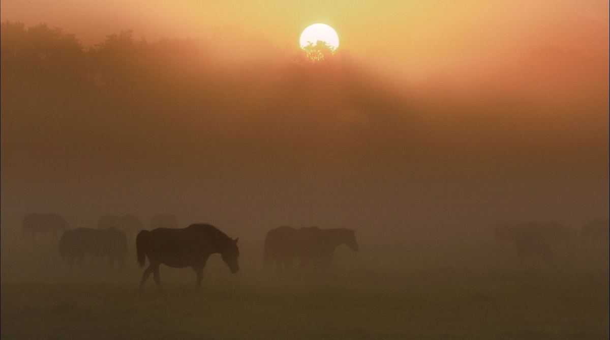 Magische Momente der Natur magische momente der natur