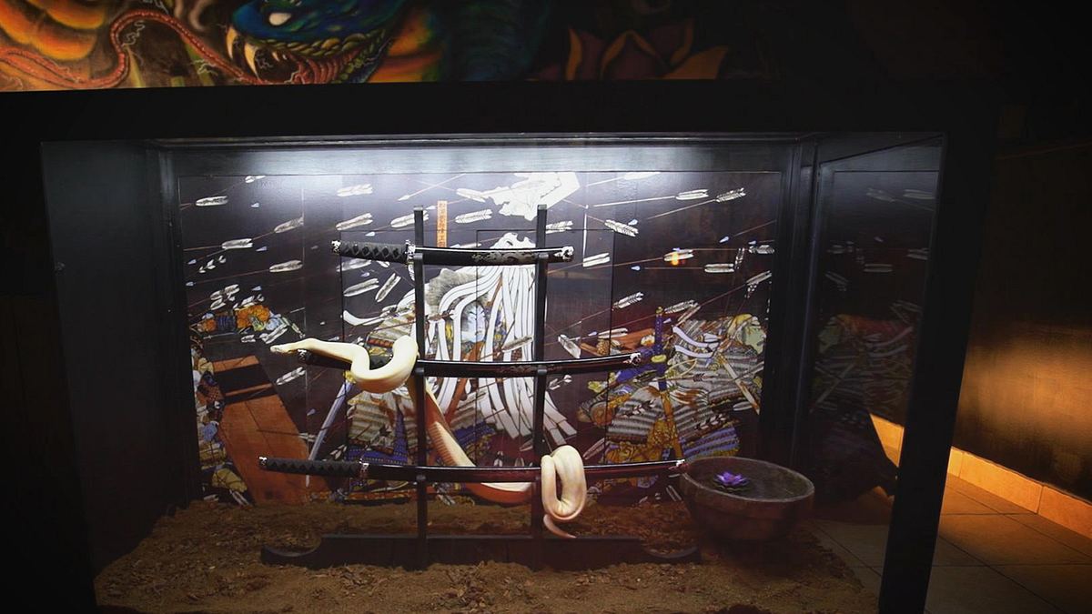 die terrarien-profis