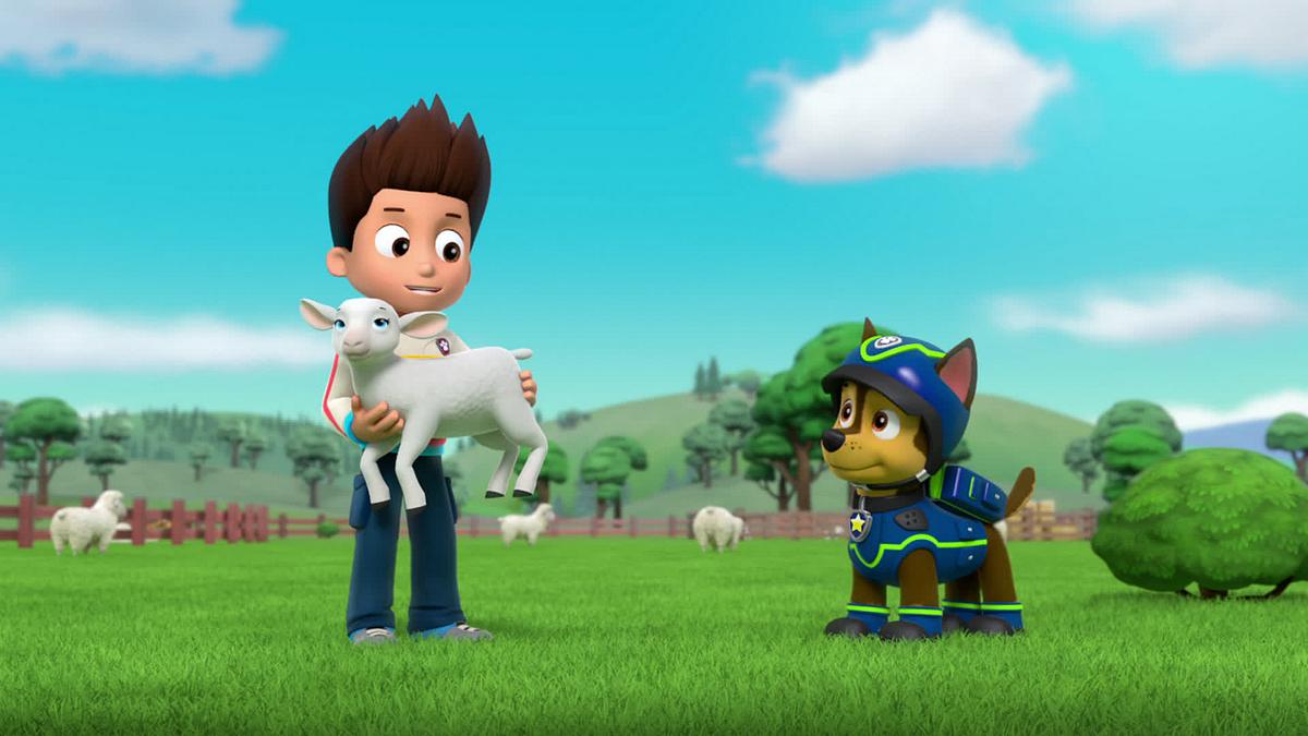 paw patrol - helfer auf vier pfoten