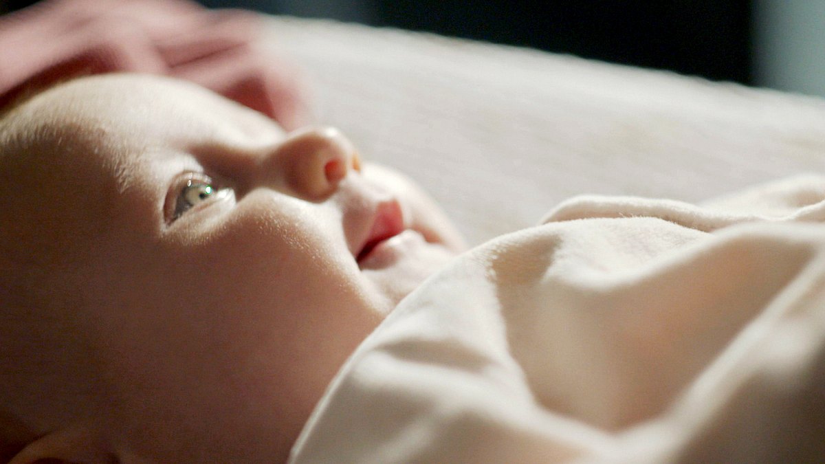 krippen - kleine kinder, großes geld: die schattenseite privater krippen