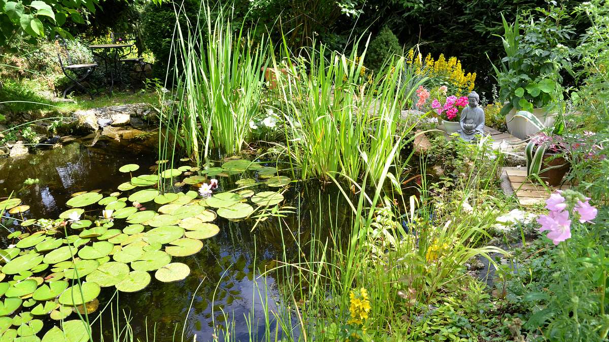 ab ins beet! die garten-soap