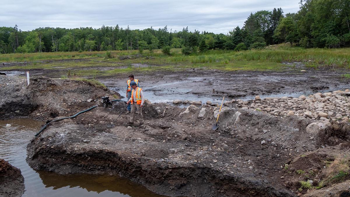 oak island - fluch und legende