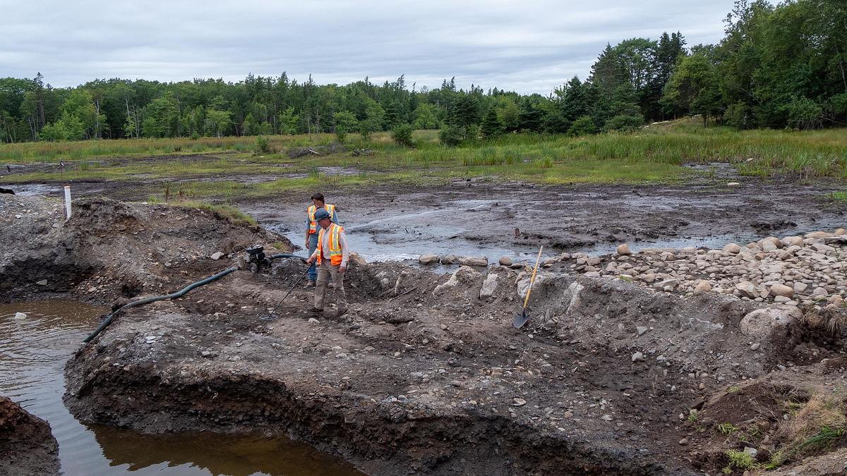 oak island - fluch und legende