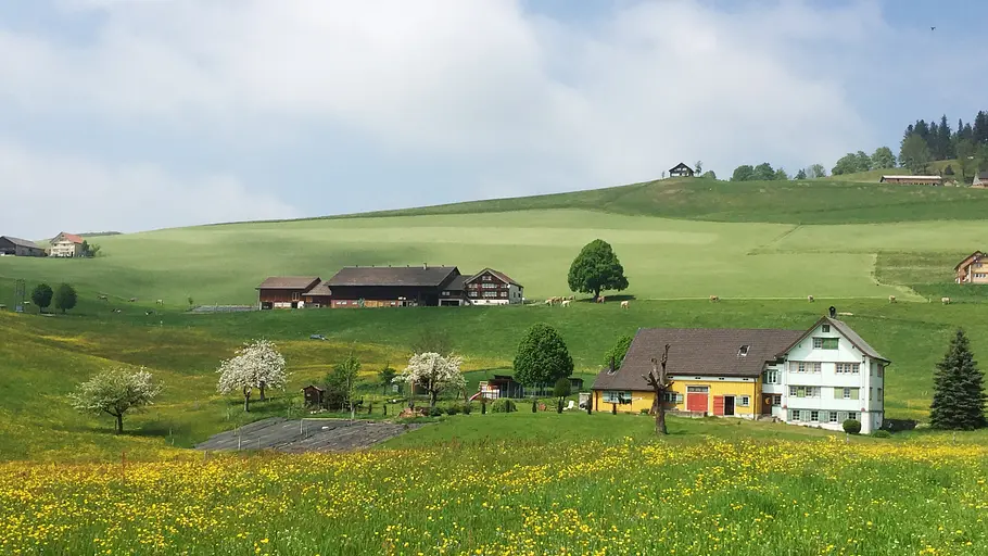 Unterwegs beim Nachbarn unterwegs beim nachbarn