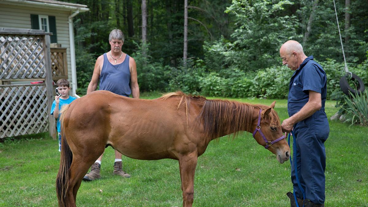 der unglaubliche dr. pol