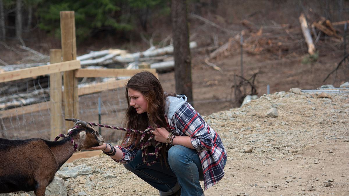 alaskan bush people