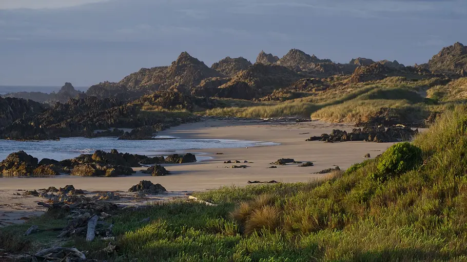 Tasmaniens wundersame Tierwelt tasmaniens wundersame tierwelt