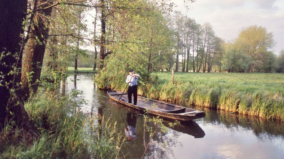spreewald - labyrinth des wassermanns
