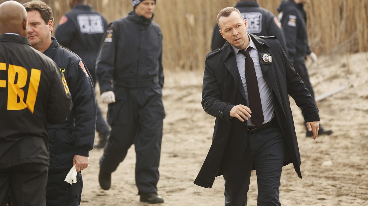 blue bloods - crime scene new york