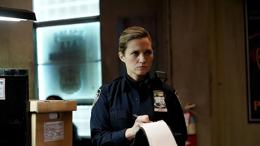 blue bloods - crime scene new york