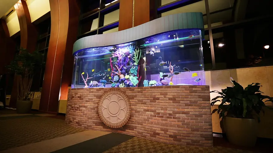 Die Aquarium-Profis die aquarium-profis