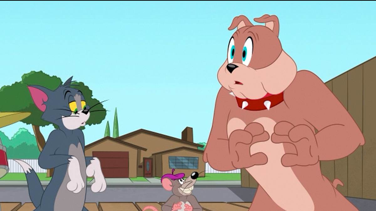 die tom und jerry show