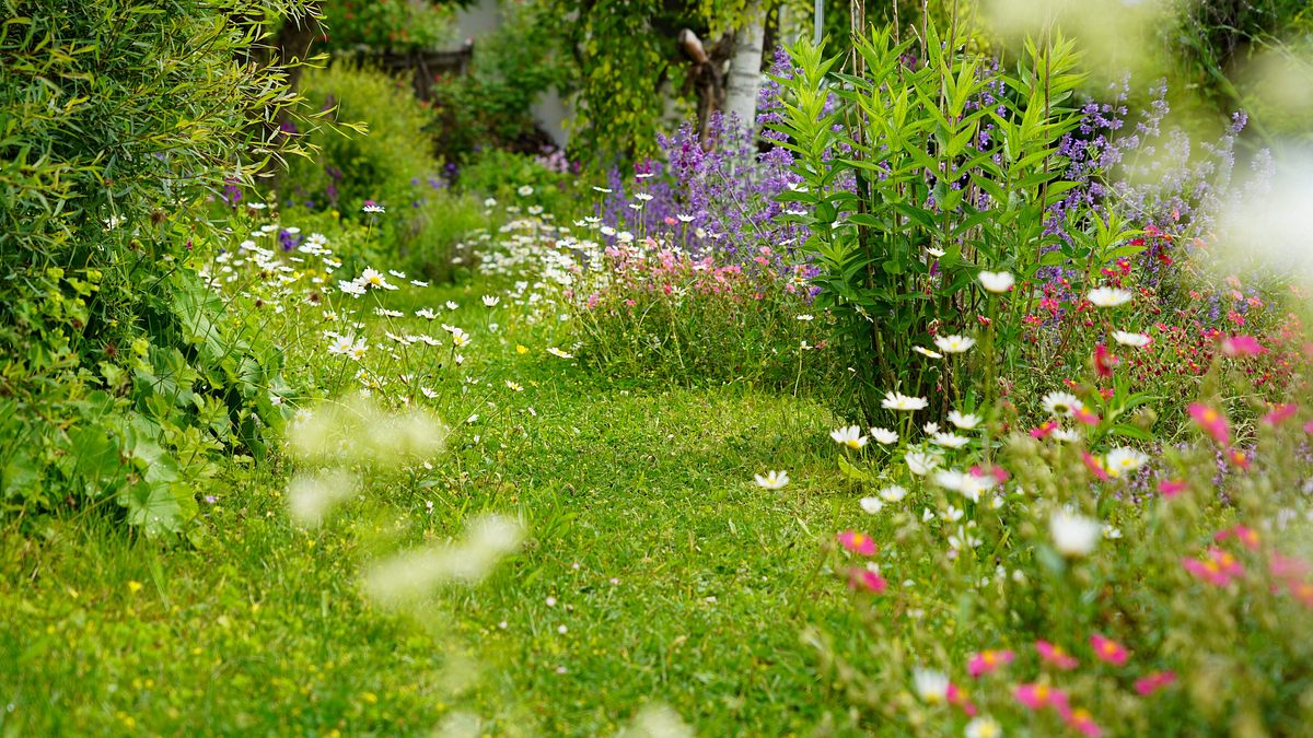 natur im garten